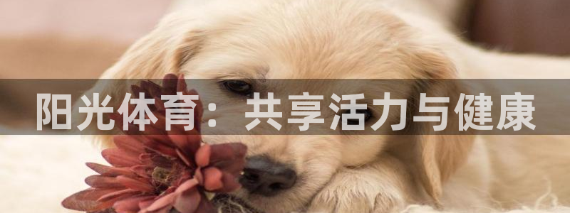 公海赌赌船官方正版app官方:阳光体育:共享活力与健康